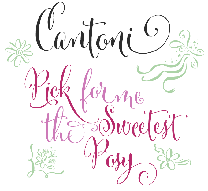 rs-cantoni, cantoni font, calligrapy fonts, cursive fonts, fun fonts, script fonts, hand lettered fonts, calligraphy, fonts for weddings , fonts for invitations