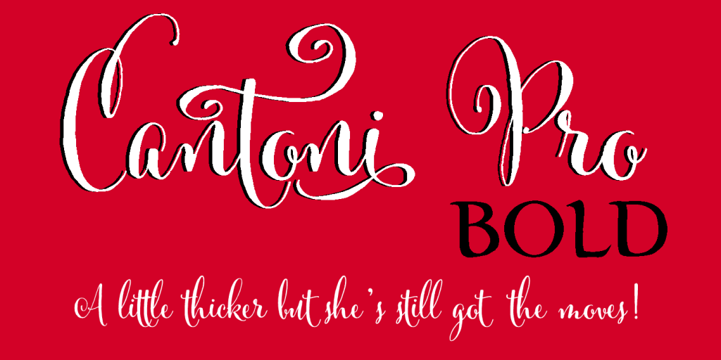 Cantoni-Pro-Bold,DIY wedding shower, DIY invitations,Dom Loves Mary Calligraphy Font, wine themed invitation, Calligraphy Fonts, Script fonts, Cursive Fonts, Fonts, Fancy Fonts, Wedding Fonts, Fonts for invitations, fonts for wedding Shower Invitations, Fonts for Baby Couples Shower Invitations, Best Selling fonts, Most popular fonts, Bold fonts, Fancy letters, Fancy alphabets, Invitation fonts, DIY Wedding, DIY Invitations